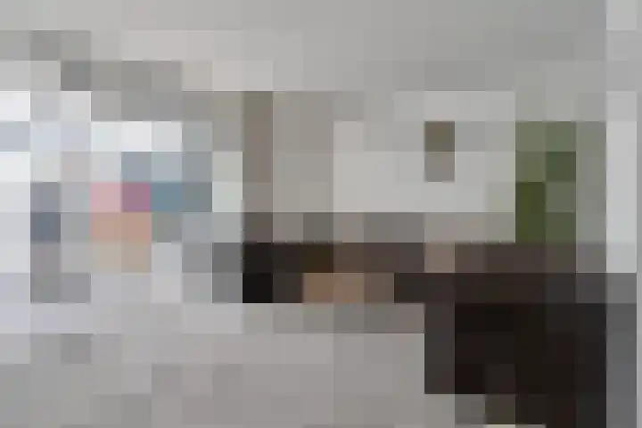 Schout van Haestrechtsingel 28 's-Hertogenbosch thumbnail 4