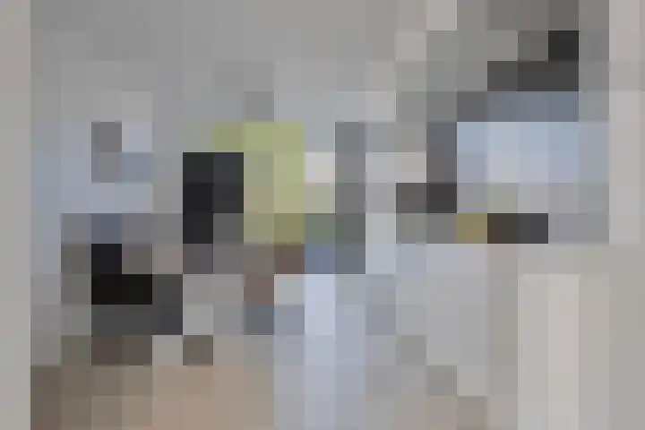 Schout van Haestrechtsingel 28 's-Hertogenbosch thumbnail 6