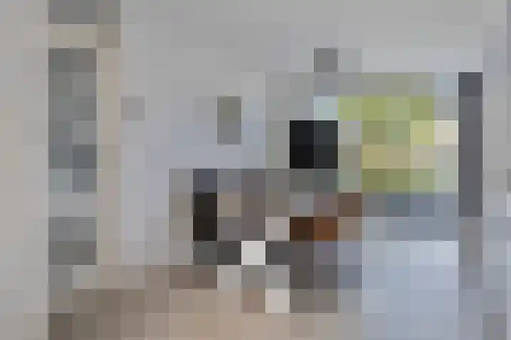 Schout van Haestrechtsingel 28 's-Hertogenbosch thumbnail 8