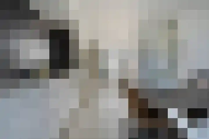 Schout van Haestrechtsingel 28 's-Hertogenbosch thumbnail 9