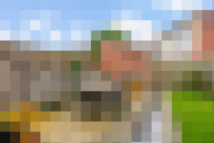 Schout van Haestrechtsingel 44 's-Hertogenbosch thumbnail 29