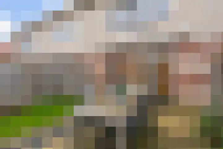 Schout van Haestrechtsingel 44 's-Hertogenbosch thumbnail 30
