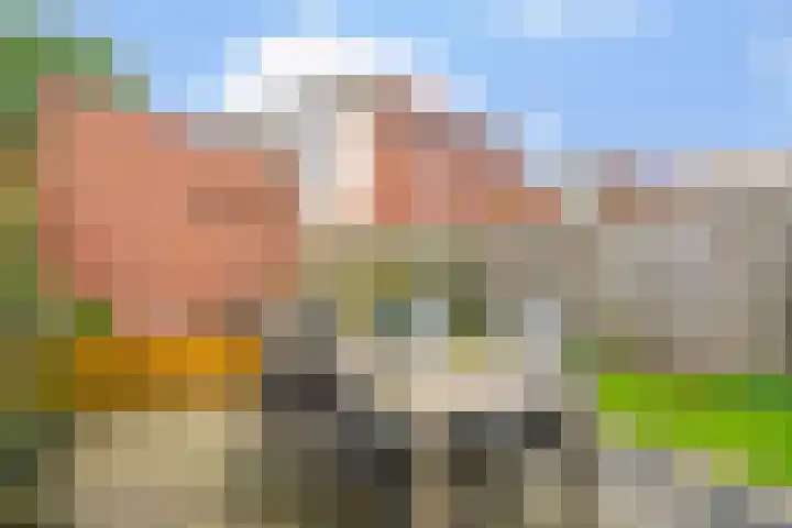 Schout van Haestrechtsingel 44 's-Hertogenbosch thumbnail 31