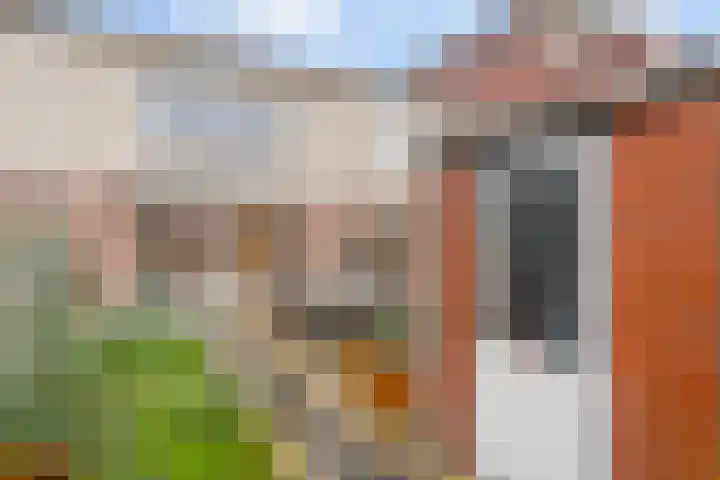 Schout van Haestrechtsingel 44 's-Hertogenbosch thumbnail 32