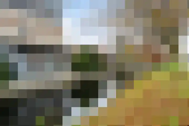 Schout van Haestrechtsingel 44 's-Hertogenbosch thumbnail 35