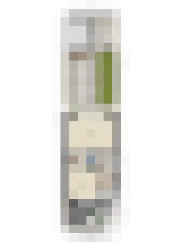 Schout van Haestrechtsingel 44 's-Hertogenbosch thumbnail 36