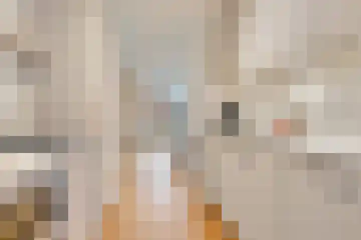 Schout van Haestrechtsingel 44 's-Hertogenbosch thumbnail 8