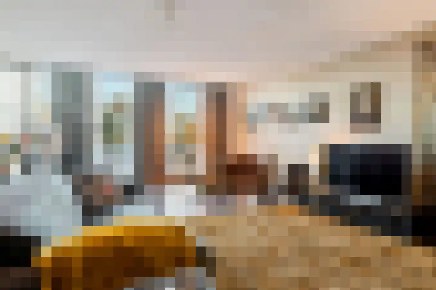 Schout van Hanswijkplein 100 's-Hertogenbosch