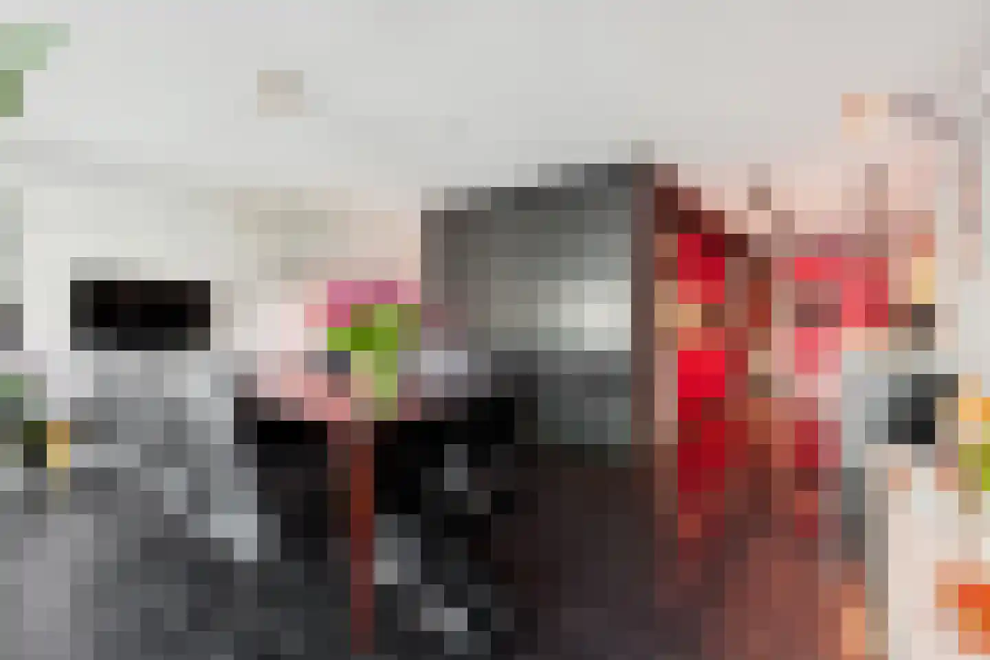 Schout van Hanswijkplein 100 's-Hertogenbosch thumbnail 12