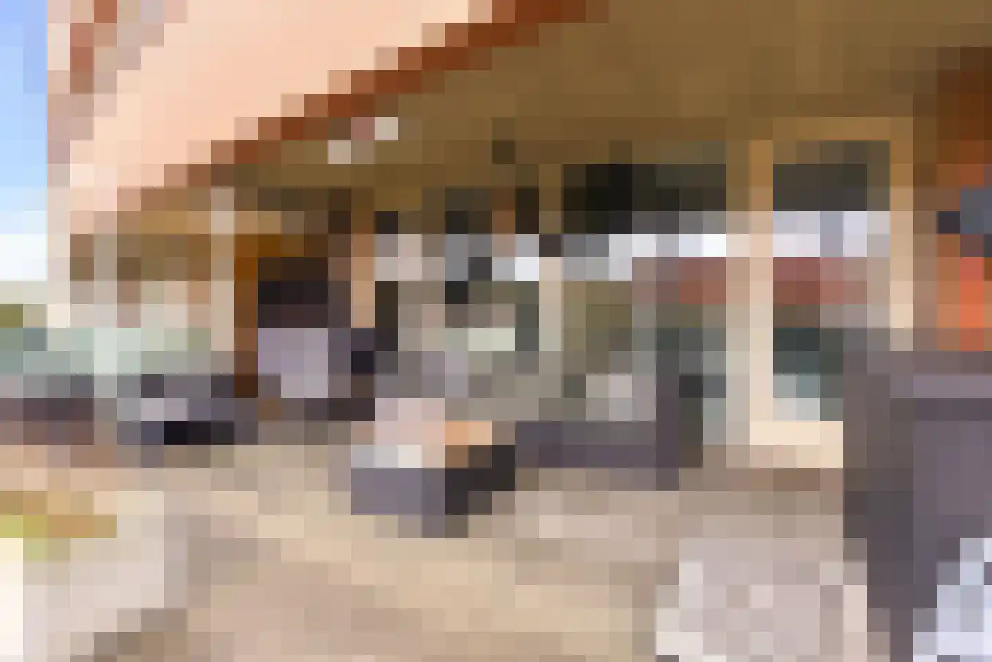 Schout van Hanswijkplein 100 's-Hertogenbosch thumbnail 26