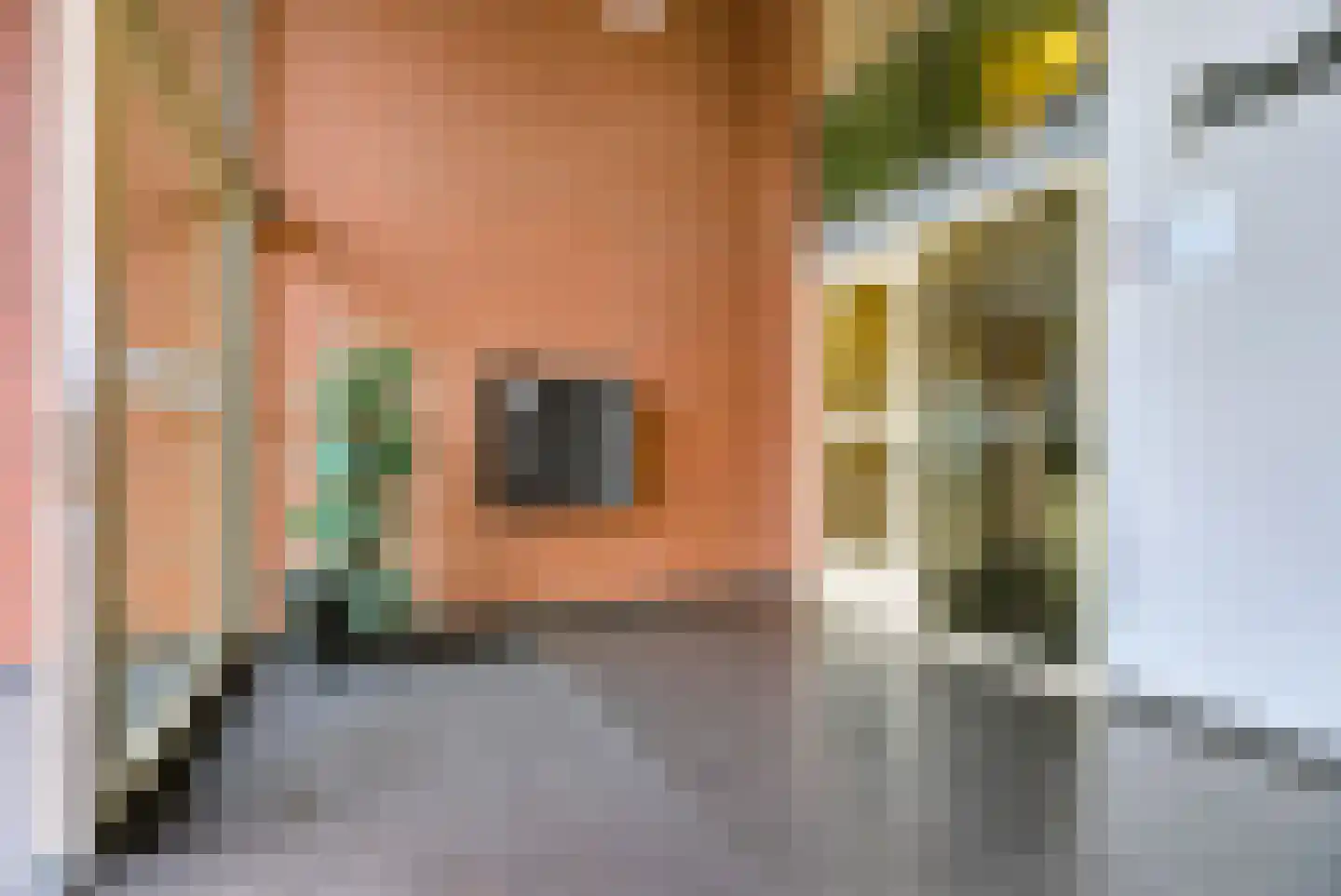 Schout van Hanswijkplein 100 's-Hertogenbosch thumbnail 29