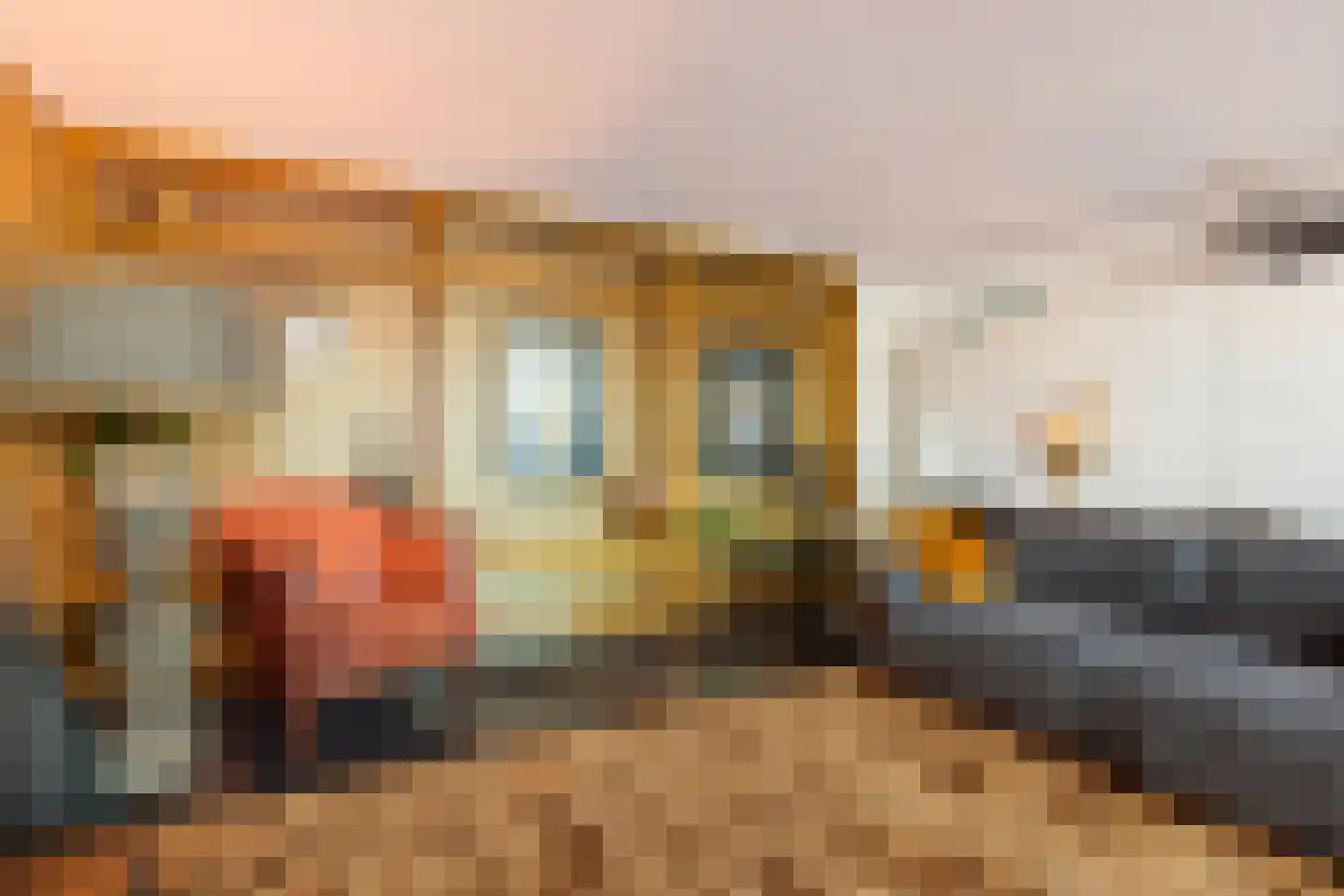 Schout van Hanswijkplein 100 's-Hertogenbosch thumbnail 5