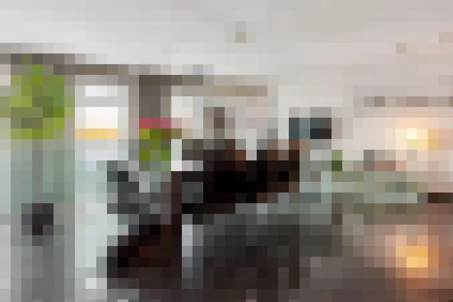 Schout van Hanswijkplein 100 's-Hertogenbosch thumbnail 8