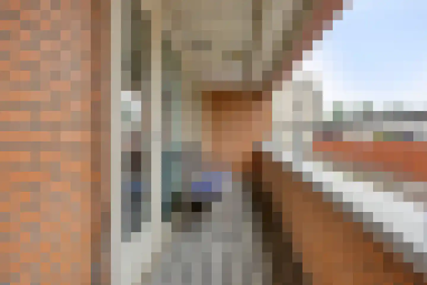 Schout van Hanswijkplein 102 's-Hertogenbosch thumbnail 11