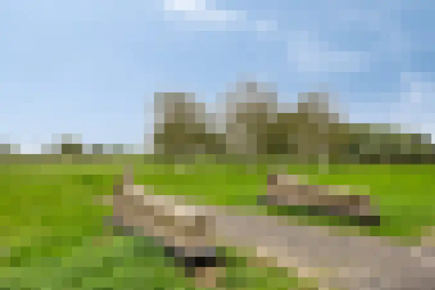 Schout van Hanswijkplein 102 's-Hertogenbosch thumbnail 30