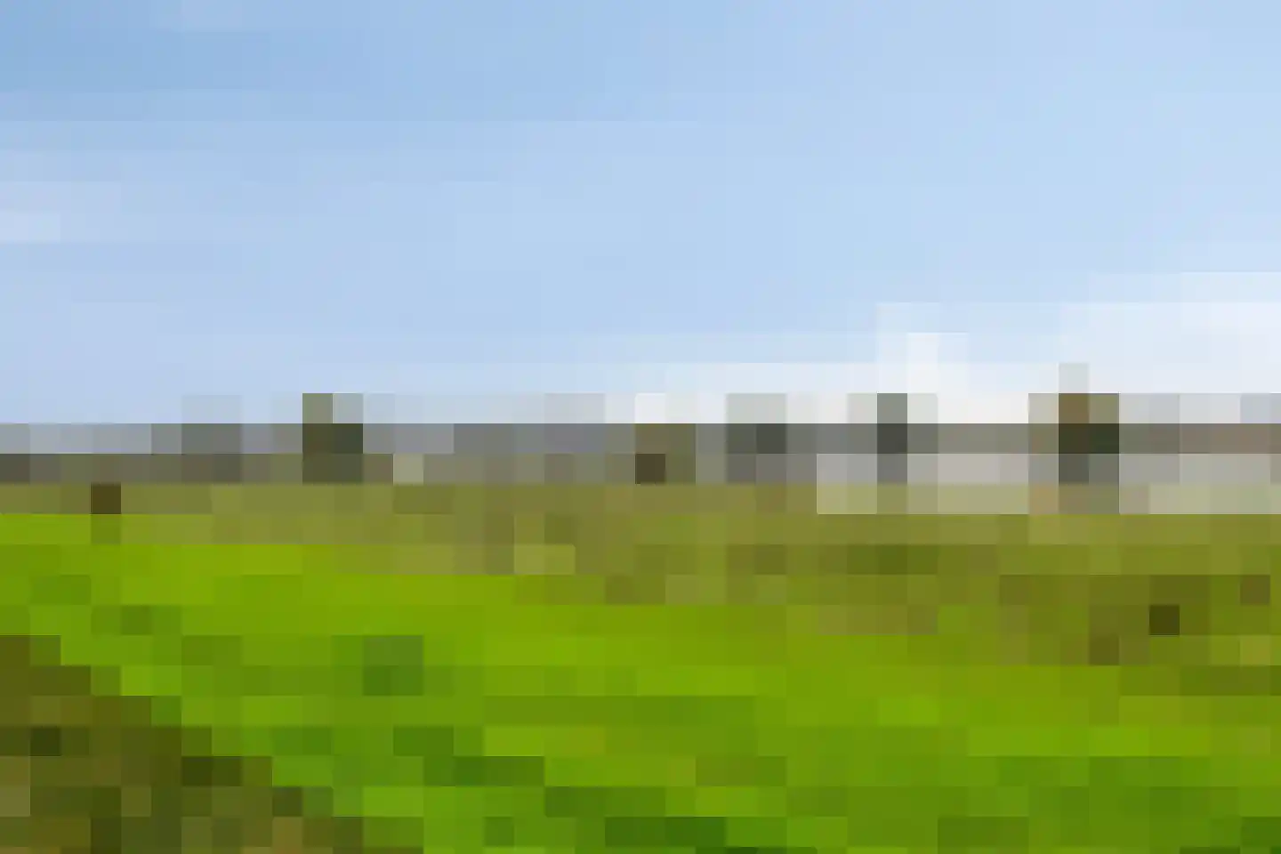 Schout van Hanswijkplein 102 's-Hertogenbosch thumbnail 31