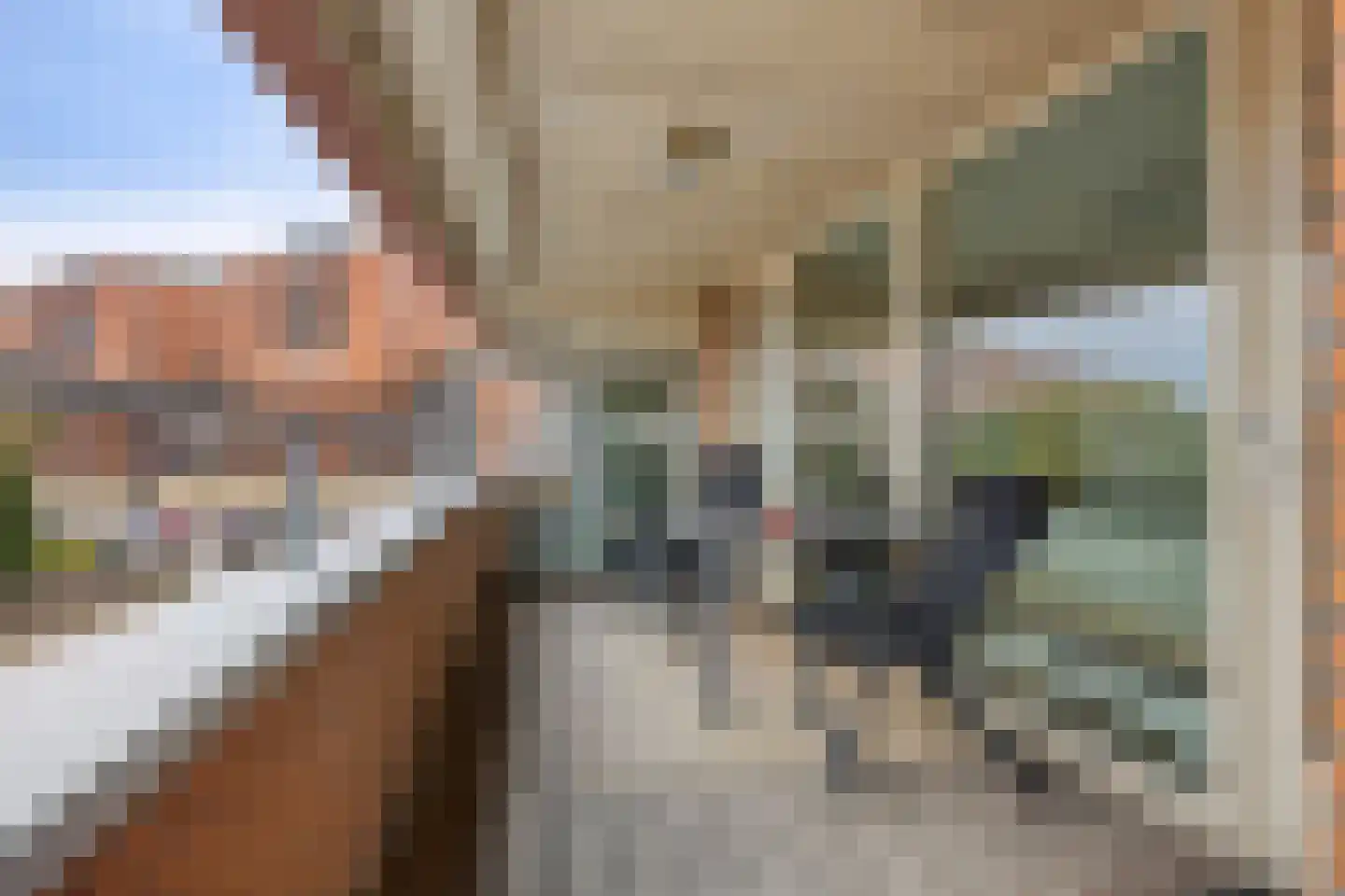 Schout van Hanswijkplein 102 's-Hertogenbosch thumbnail 5