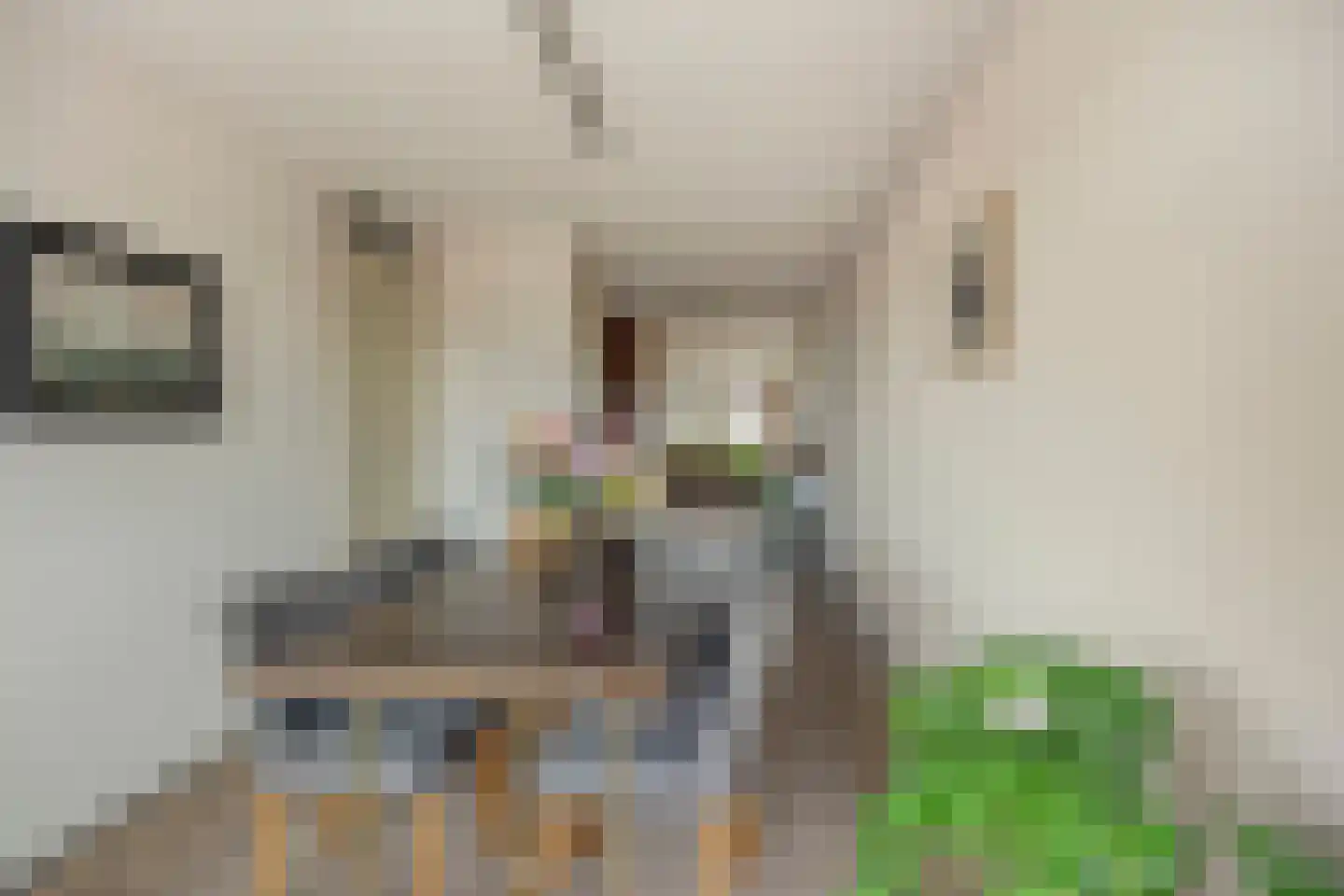 Schout van Hanswijkplein 102 's-Hertogenbosch thumbnail 8