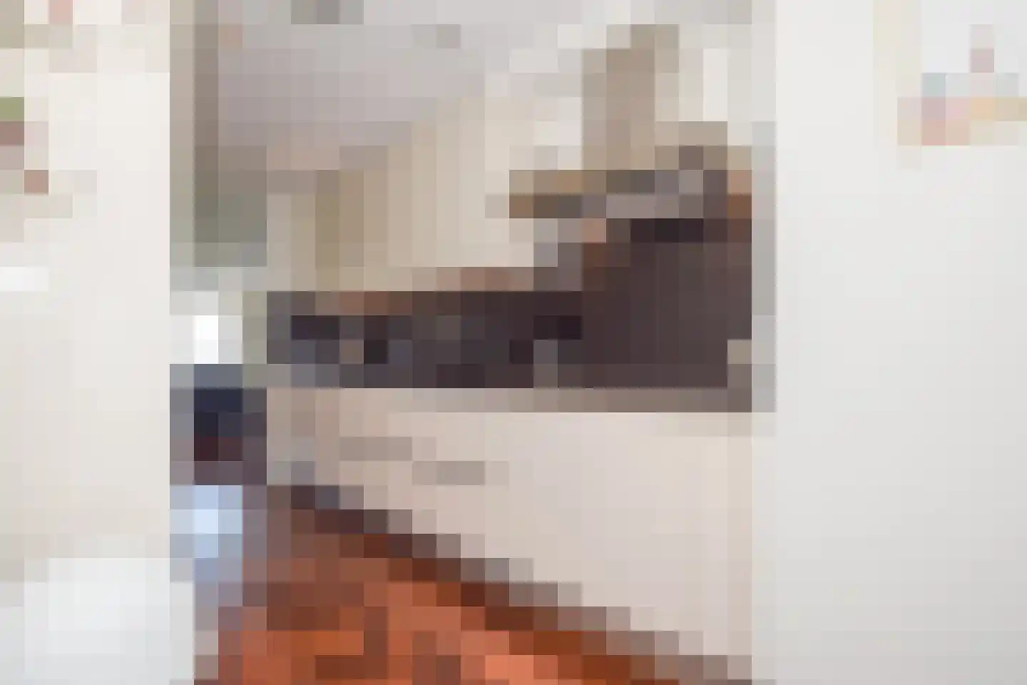 Schout van Hanswijkplein 104 's-Hertogenbosch thumbnail 34