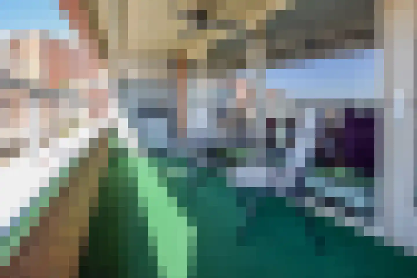 Schout van Hanswijkplein 104 's-Hertogenbosch thumbnail 38