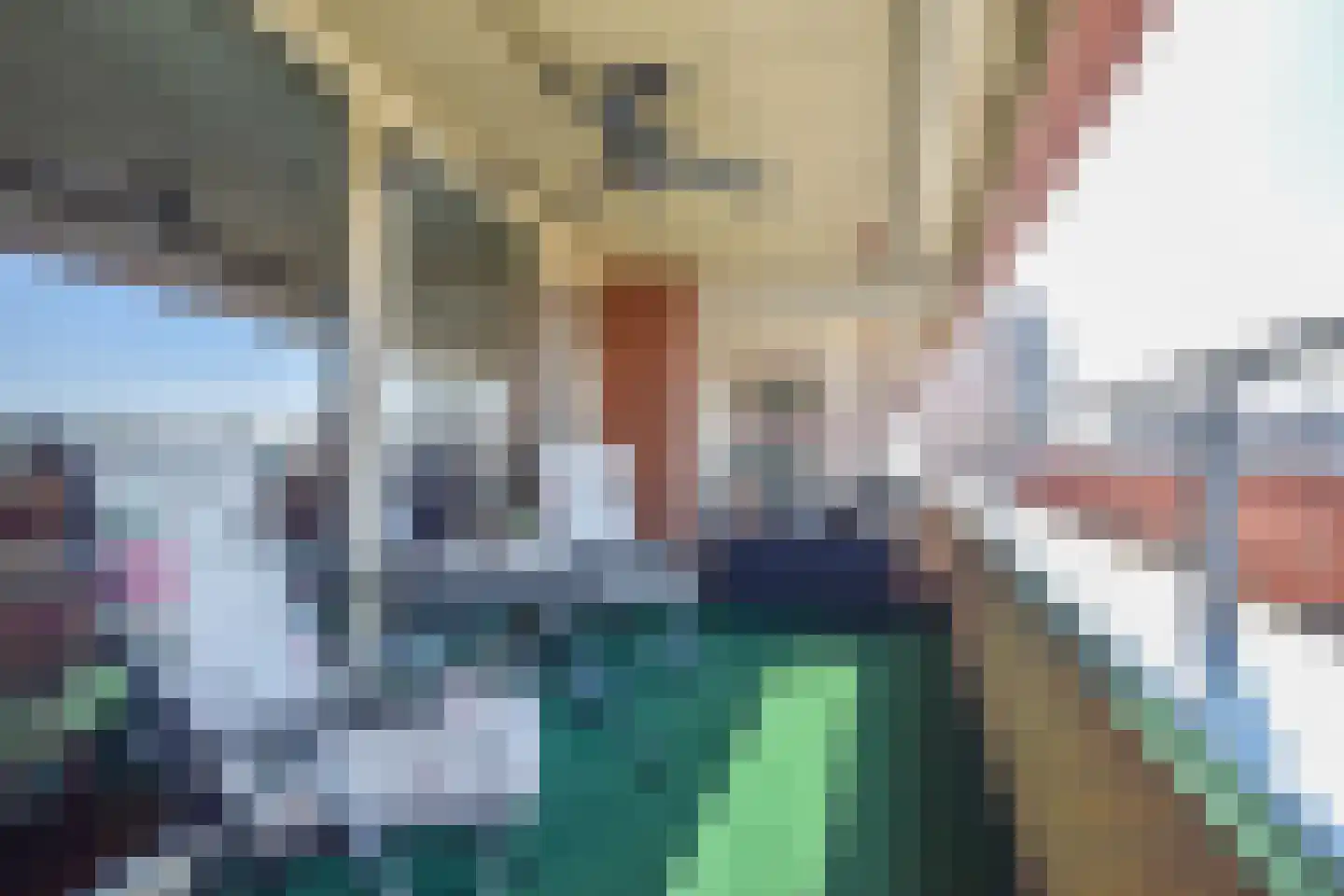 Schout van Hanswijkplein 104 's-Hertogenbosch thumbnail 4