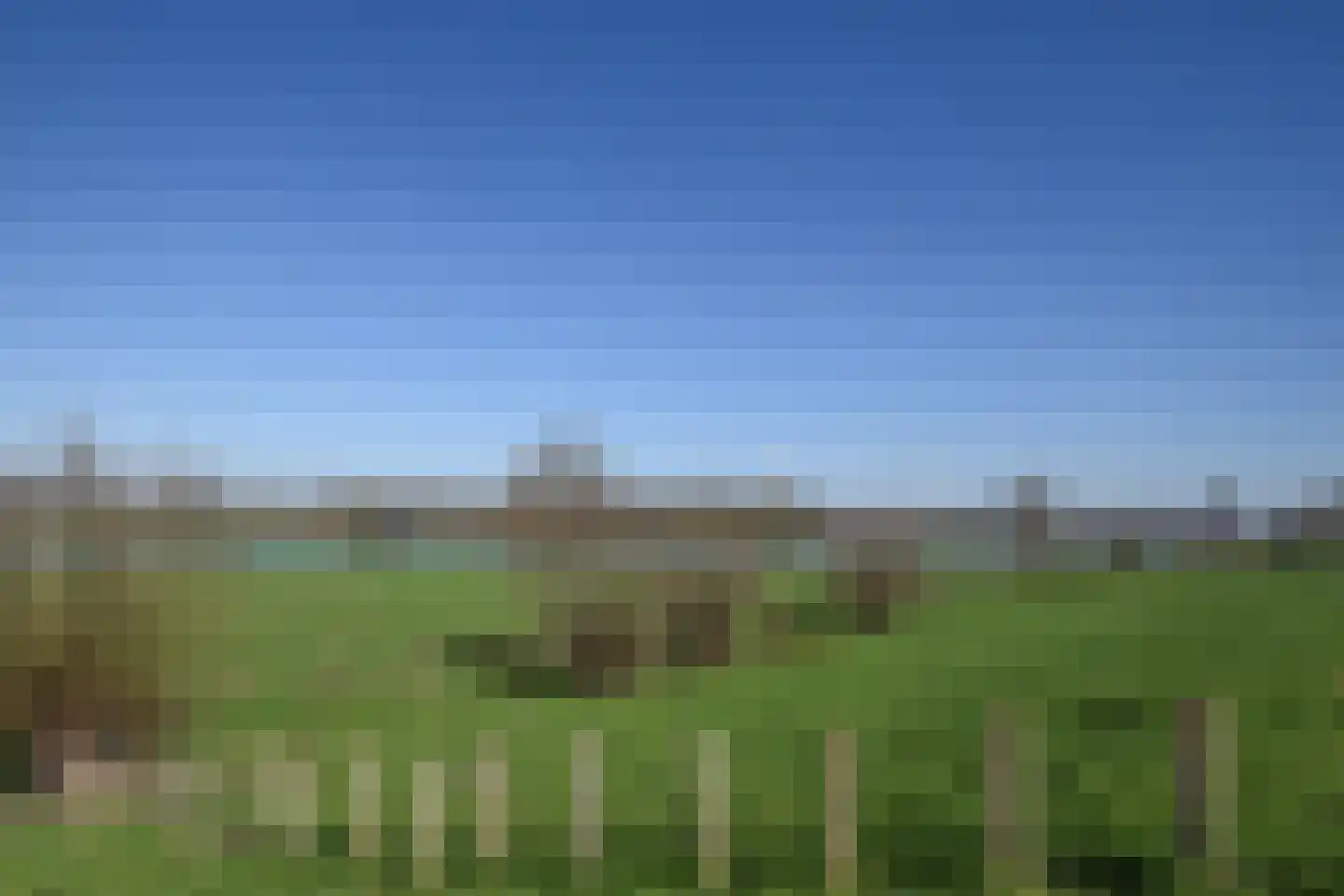 Schout van Hanswijkplein 104 's-Hertogenbosch thumbnail 42