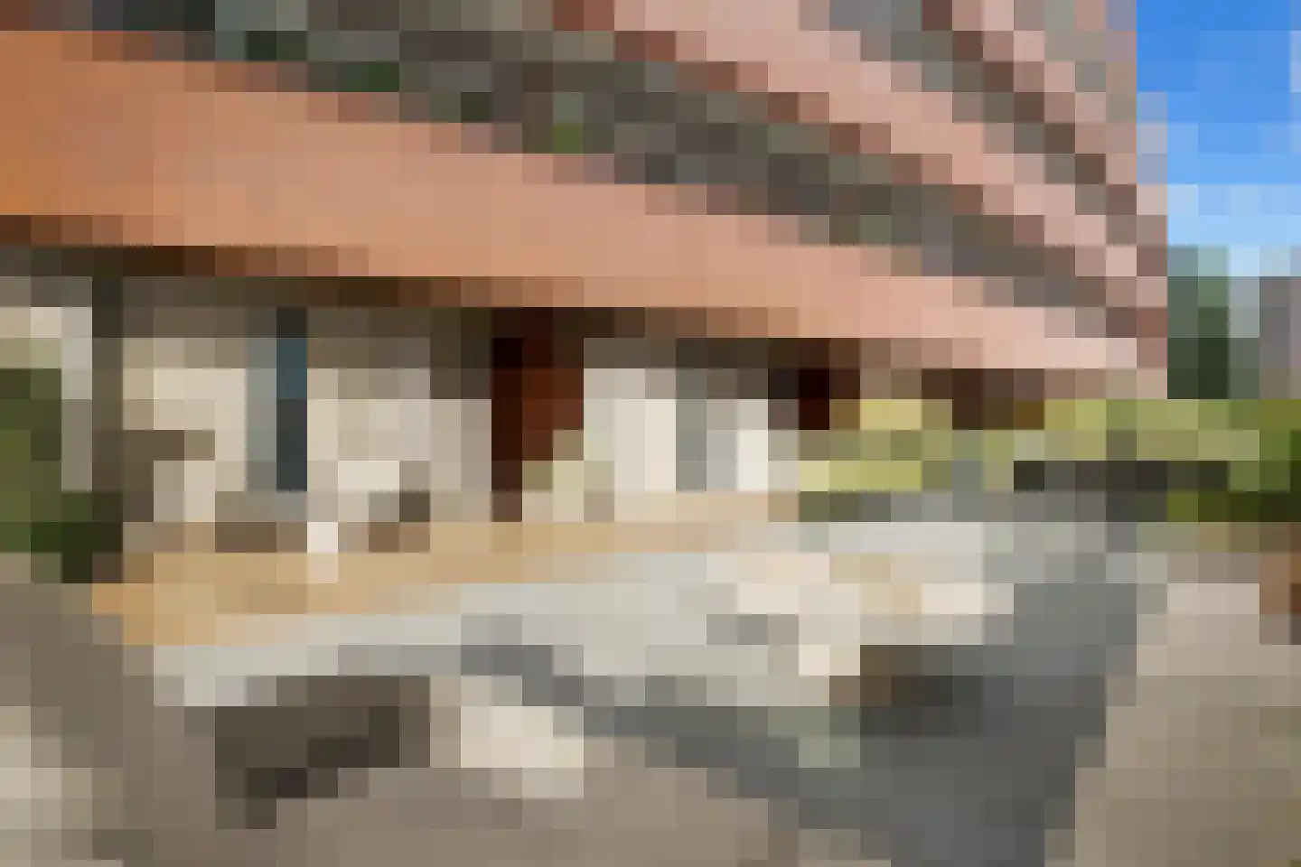 Schout van Hanswijkplein 112 's-Hertogenbosch thumbnail 6