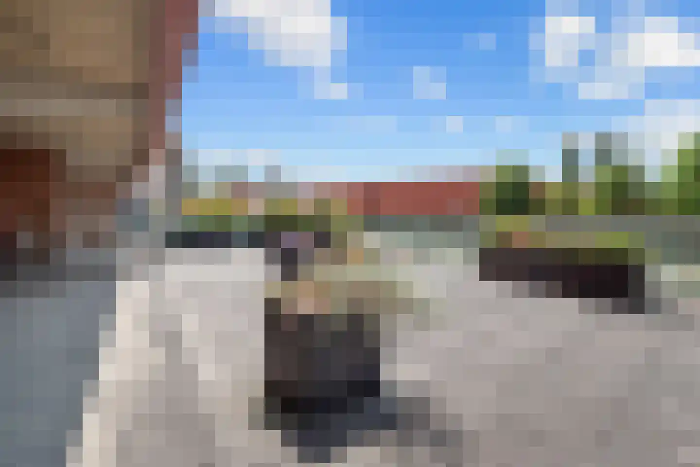 Schout van Hanswijkplein 112 's-Hertogenbosch thumbnail 8