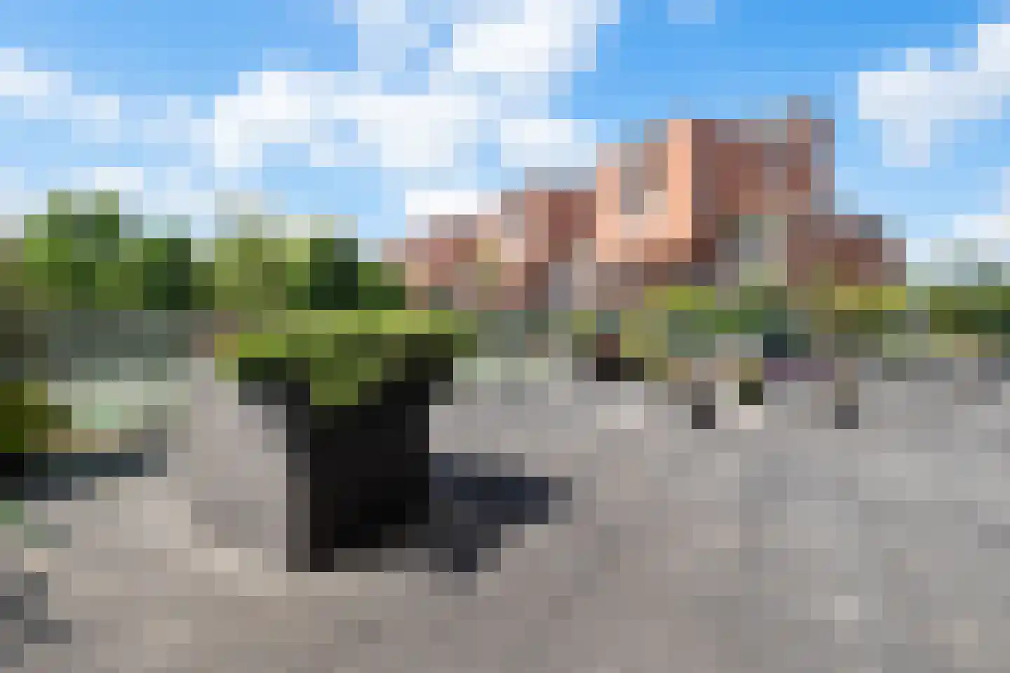 Schout van Hanswijkplein 112 's-Hertogenbosch thumbnail 9