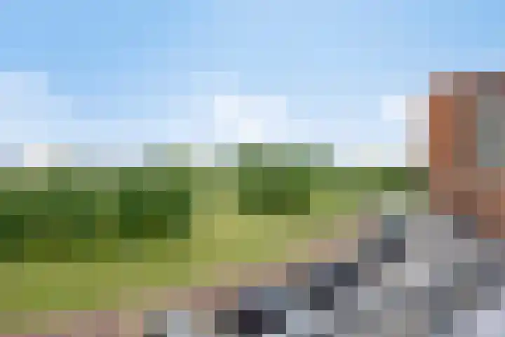 Schout van Hanswijkplein 148 's-Hertogenbosch thumbnail 33