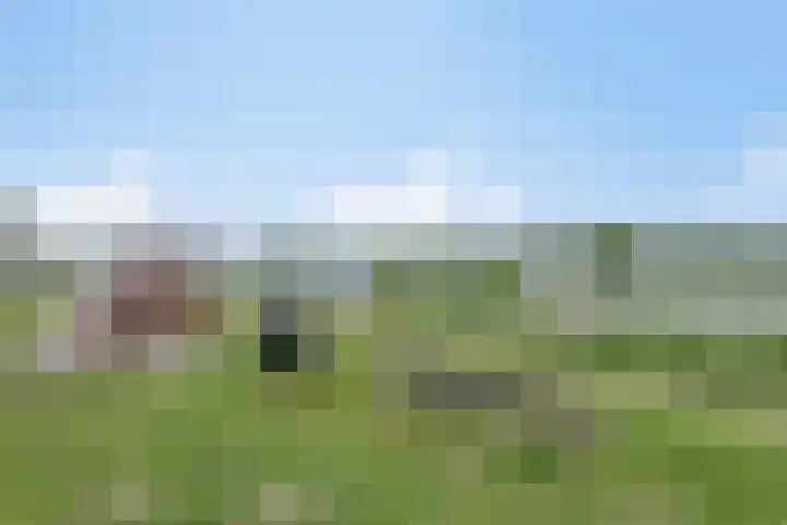 Schout van Hanswijkplein 148 's-Hertogenbosch thumbnail 38