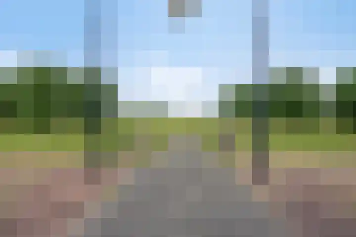 Schout van Hanswijkplein 148 's-Hertogenbosch thumbnail 39