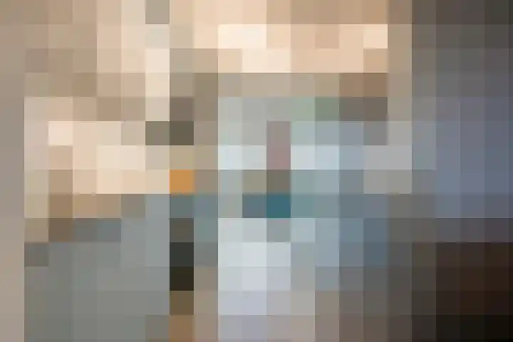 Schout van Hanswijkplein 148 's-Hertogenbosch thumbnail 8