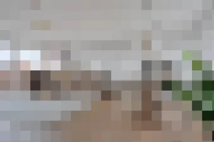 Schout van Hanswijkplein 188 's-Hertogenbosch thumbnail 12