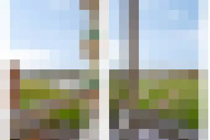 Schout van Hanswijkplein 188 's-Hertogenbosch thumbnail 14