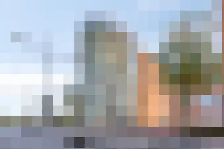 Schout van Hanswijkplein 188 's-Hertogenbosch thumbnail 37