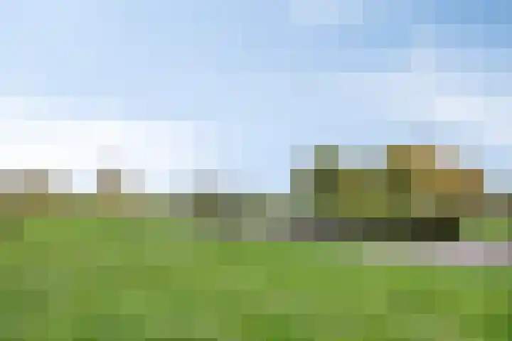 Schout van Hanswijkplein 188 's-Hertogenbosch thumbnail 41