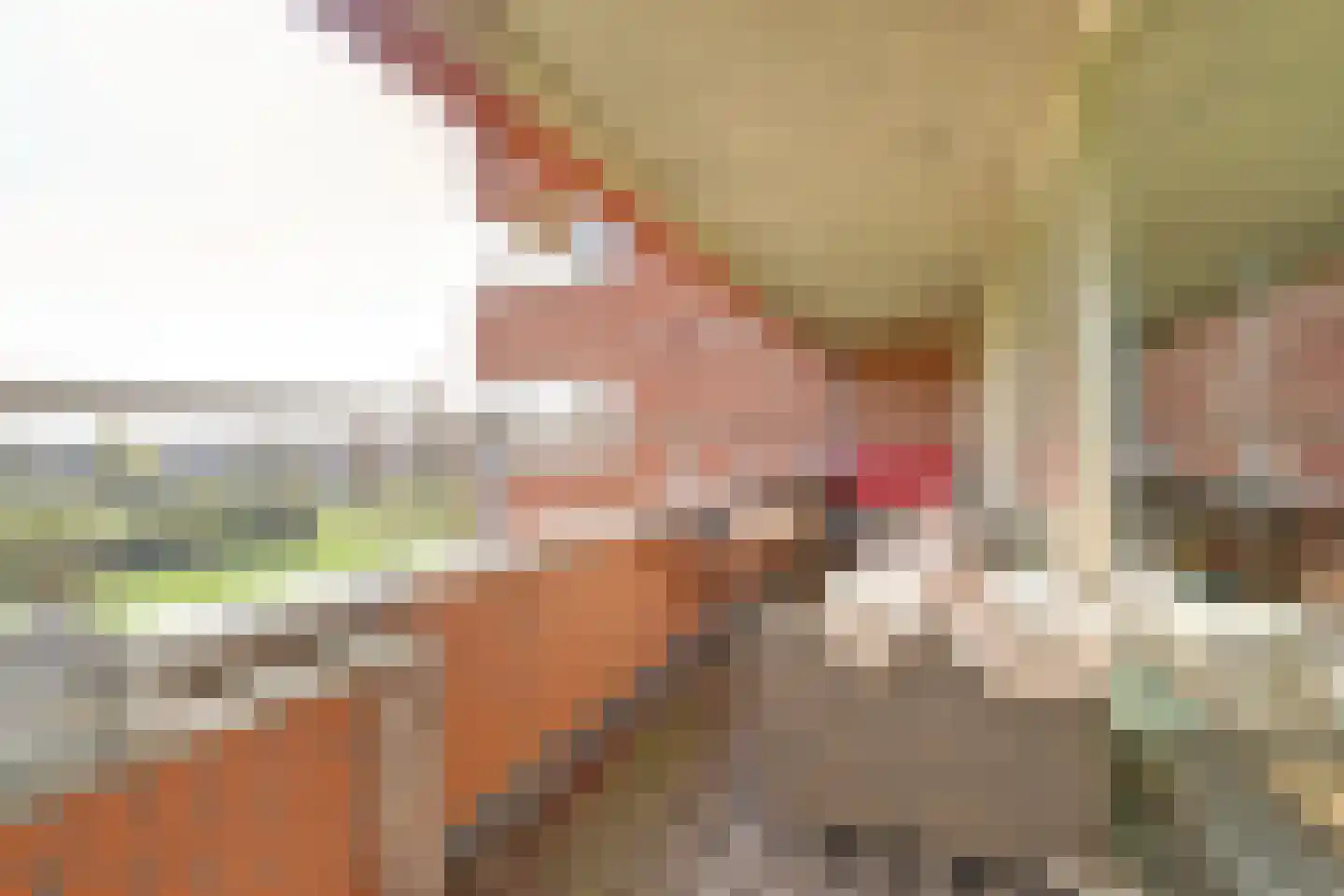 Schout van Hanswijkplein 22 's-Hertogenbosch thumbnail 46