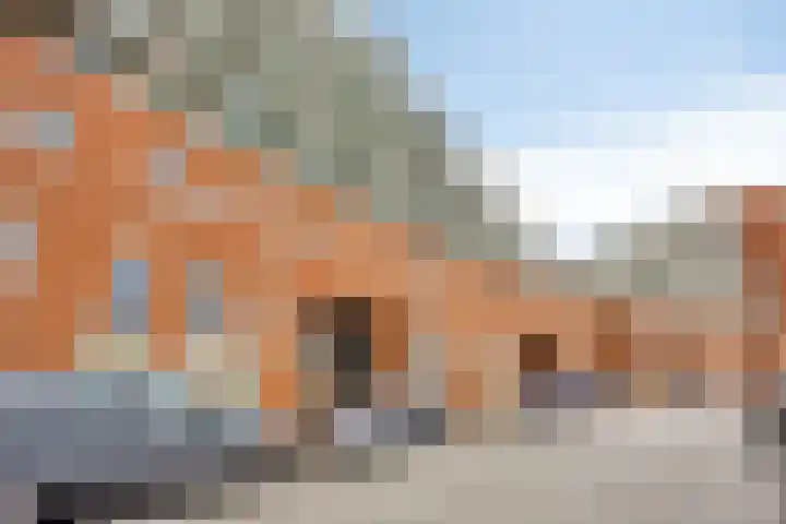 Schout van Hanswijkplein 58 's-Hertogenbosch thumbnail 25