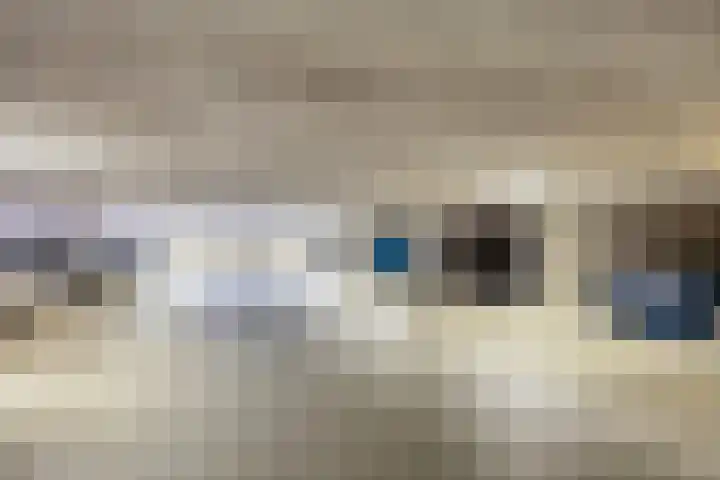 Schout van Hanswijkplein 58 's-Hertogenbosch thumbnail 31