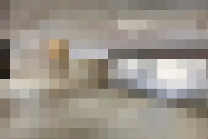Schout van Hanswijkplein 58 's-Hertogenbosch thumbnail 34