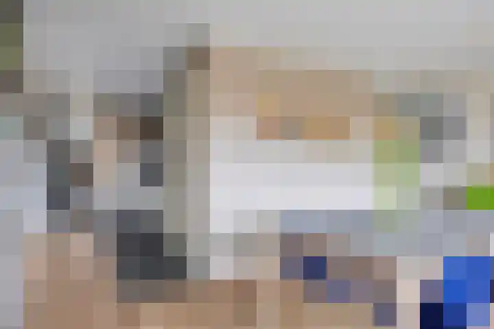 Schout van Hanswijkplein 58 's-Hertogenbosch thumbnail 7