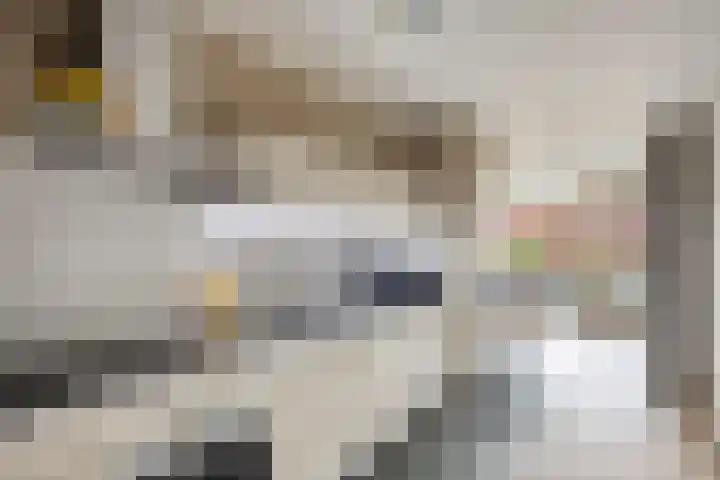 Schout van Hanswijkplein 58 's-Hertogenbosch thumbnail 9