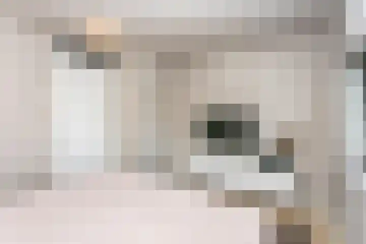 Schout van Heeckerenring 31 Heerlen thumbnail 22