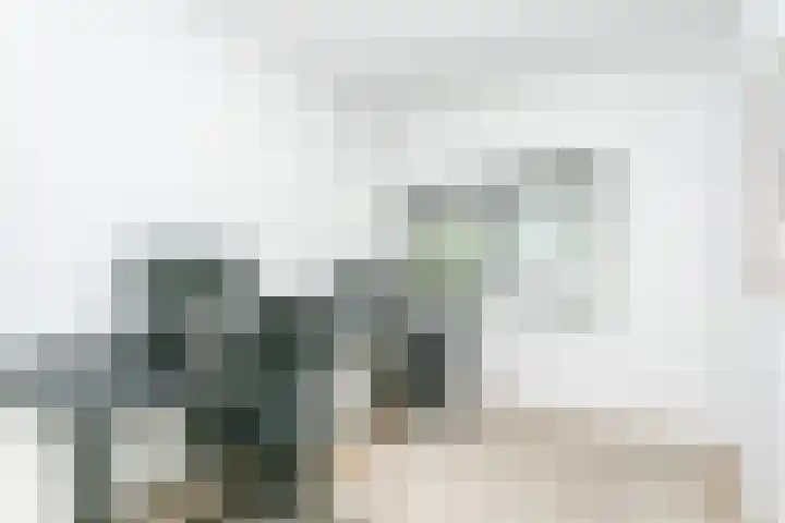 Schout van Heeckerenring 31 Heerlen thumbnail 31