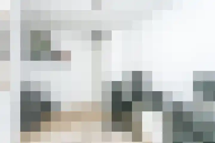 Schout van Heeckerenring 31 Heerlen thumbnail 32