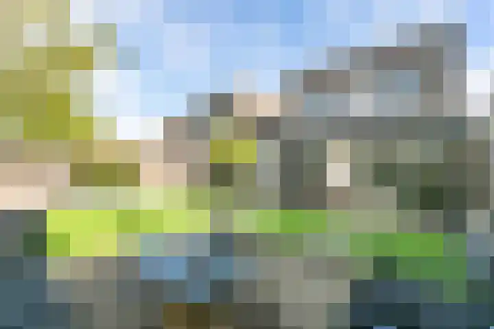 Schout van Heeckerenring 31 Heerlen thumbnail 37