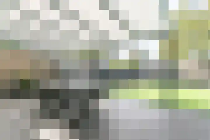Schout van Heeckerenring 31 Heerlen thumbnail 41
