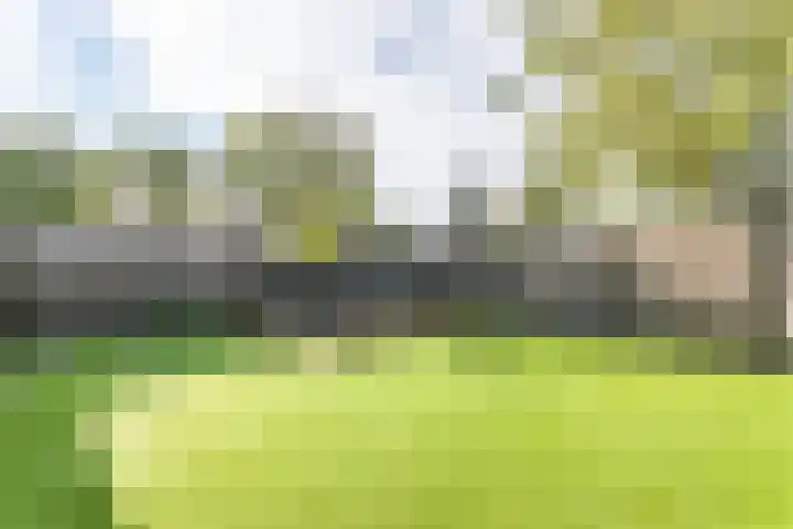 Schout van Heeckerenring 31 Heerlen thumbnail 42