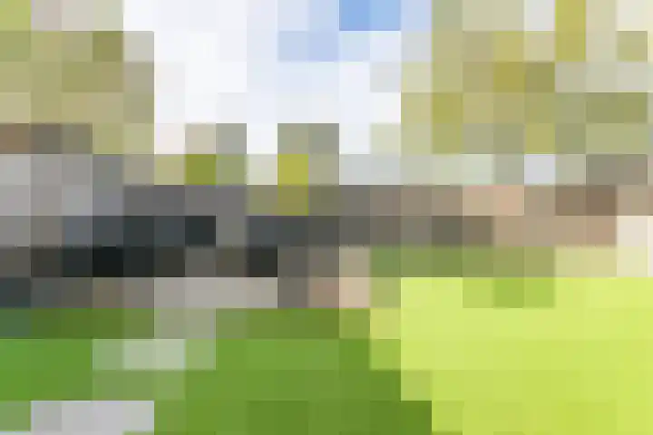 Schout van Heeckerenring 31 Heerlen thumbnail 44